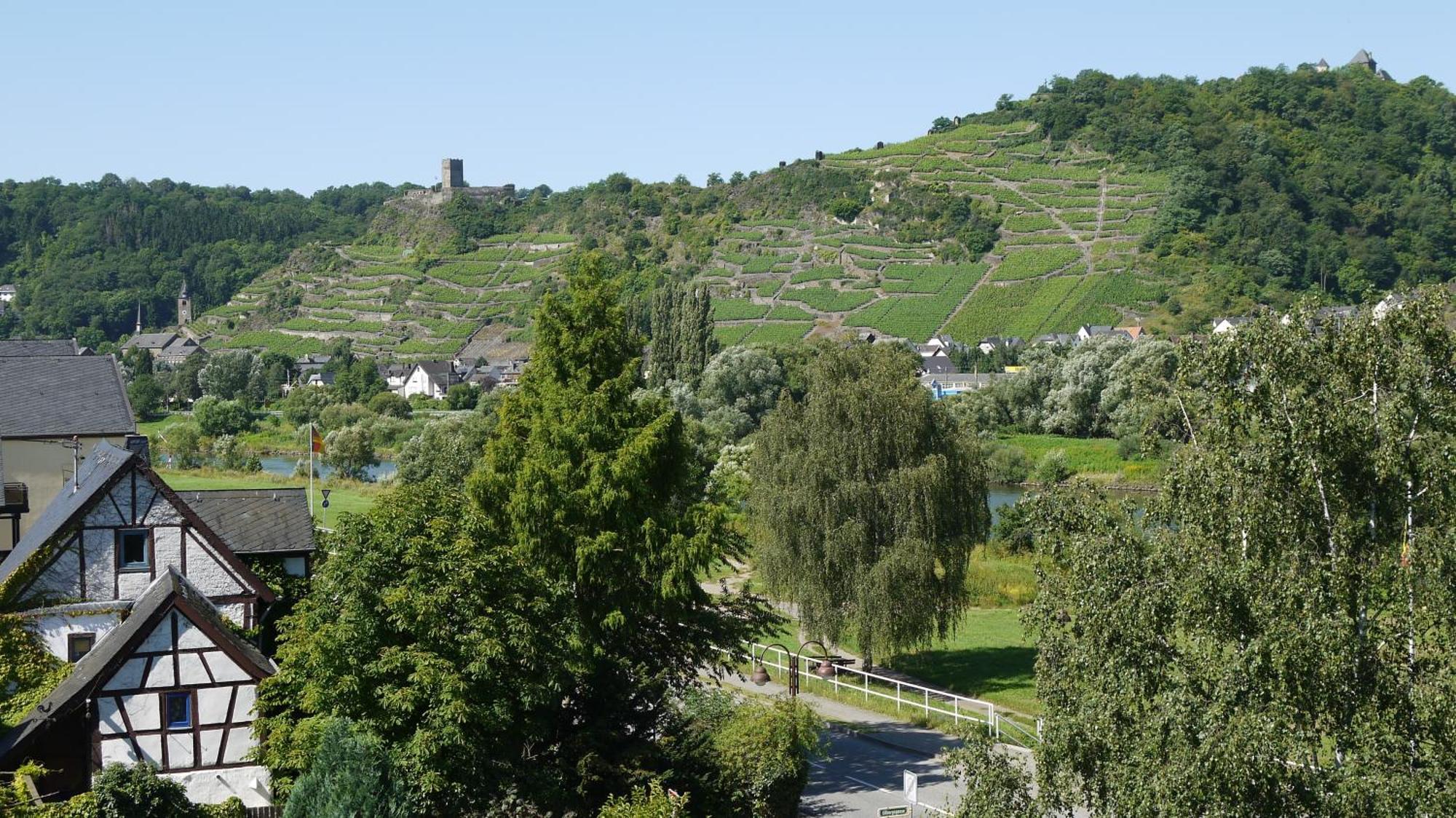 Отель Hotel-garni-kachelburg Диблих
